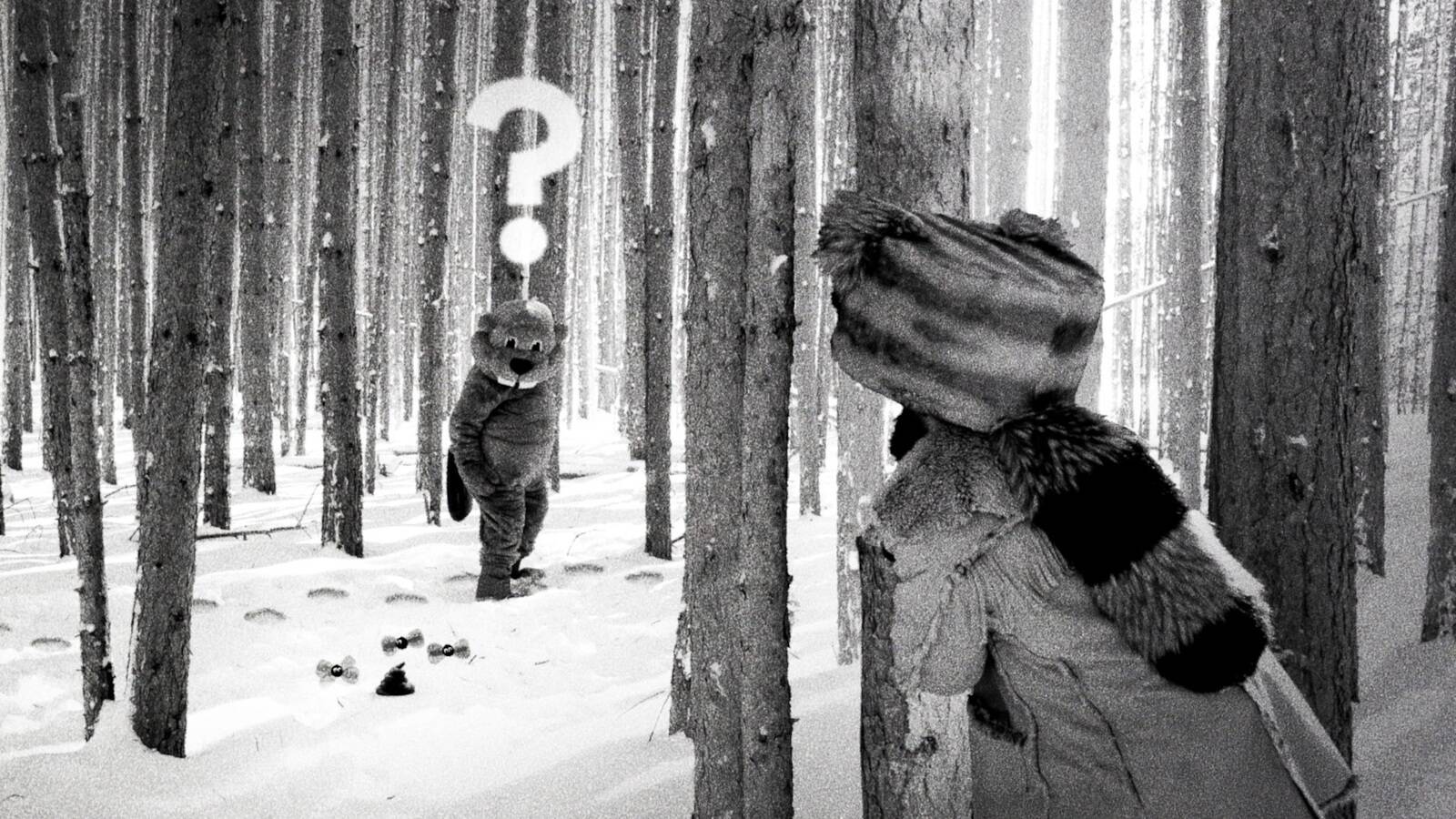 Still Hundreds of Beavers • Cineville Previewdagen