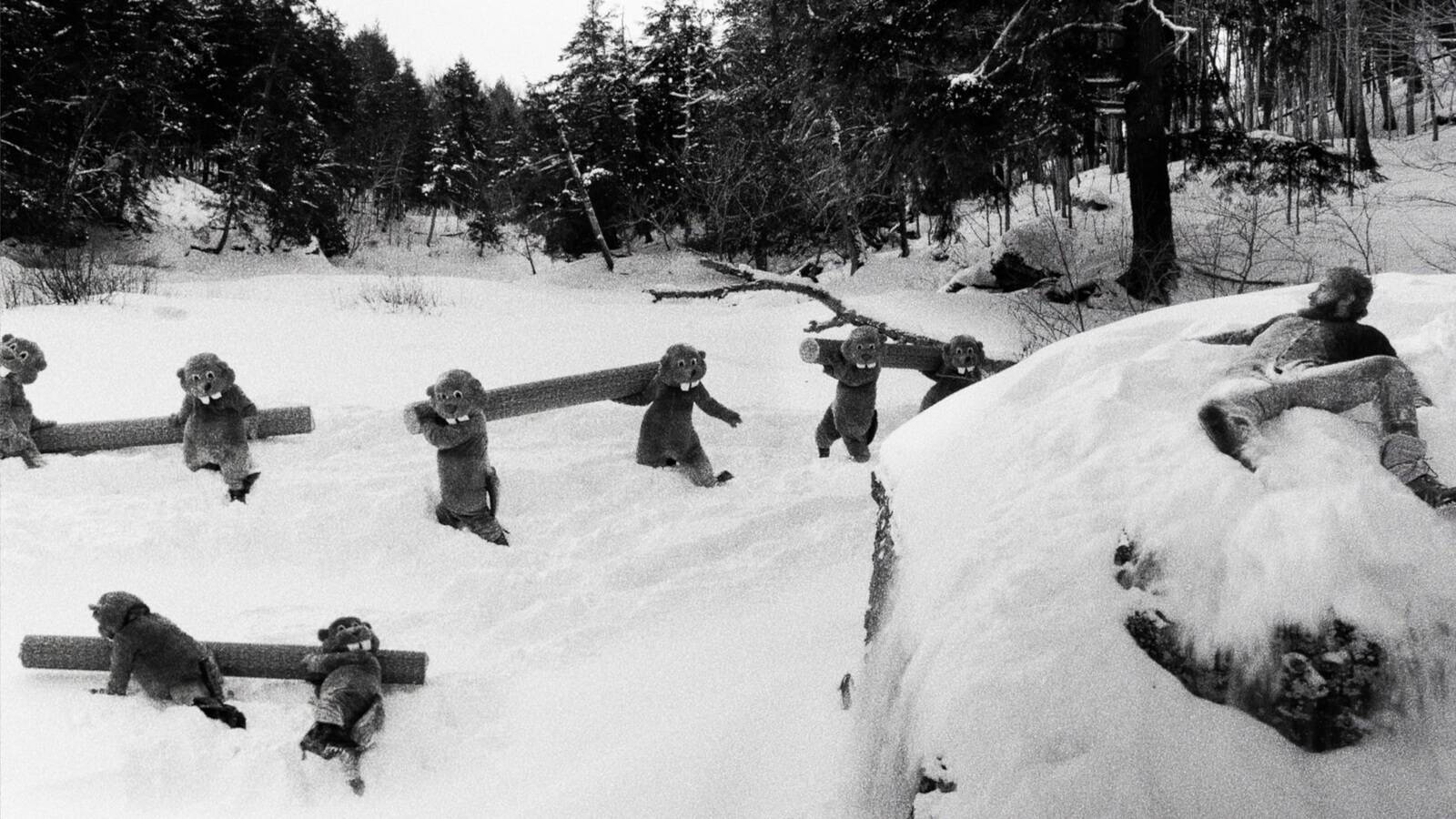 Still Hundreds of Beavers • Cineville Previewdagen
